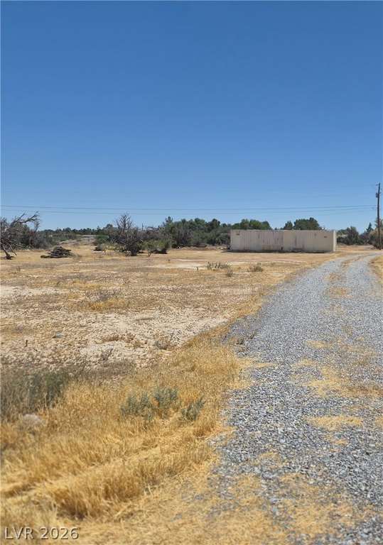 Picture 6