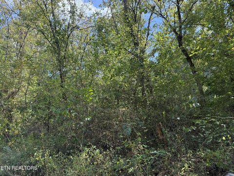 Lots & Acreage, LaFollette, TN