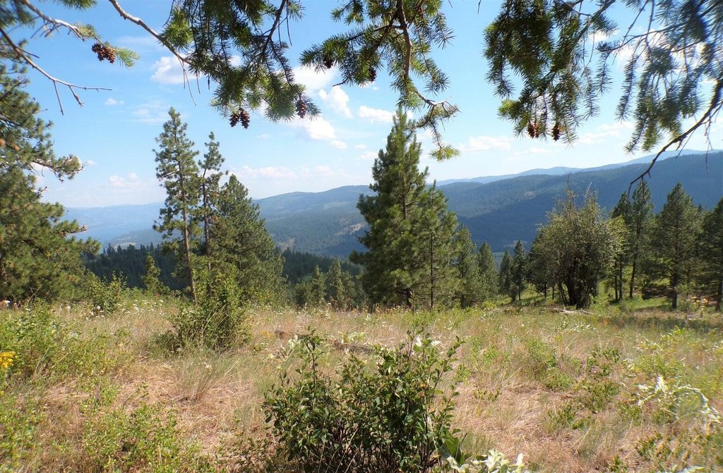 Picture 9