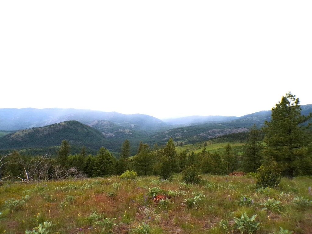 Picture 8