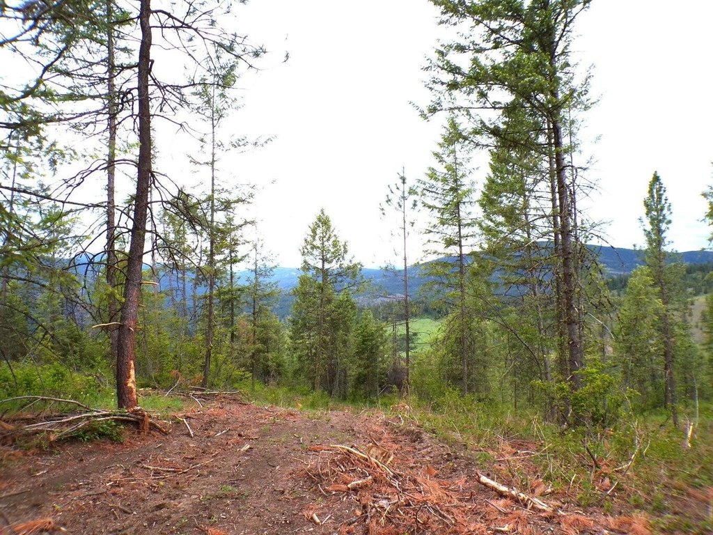 Picture 7
