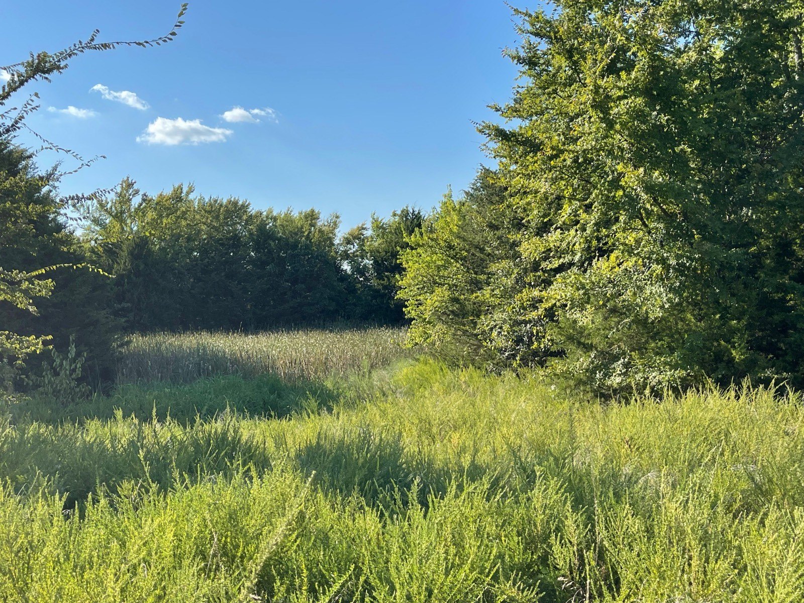 7.69 Acres Waterfront Land Available