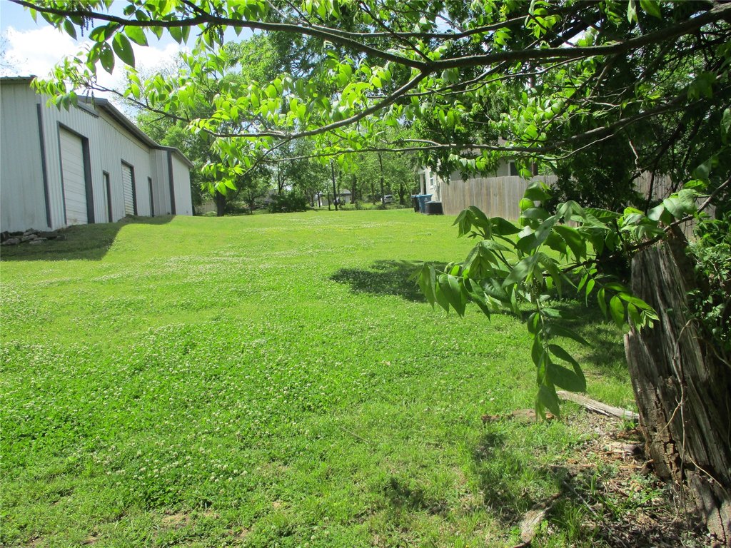 Picture 6