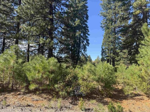Land, Lake Almanor, CA