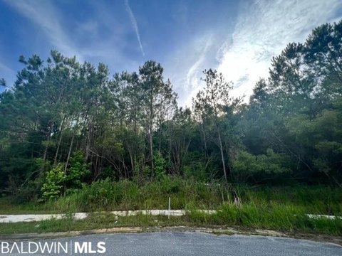Residential Lot in Blakeley Forest