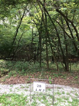 Wooded Sloping Recreational Lot