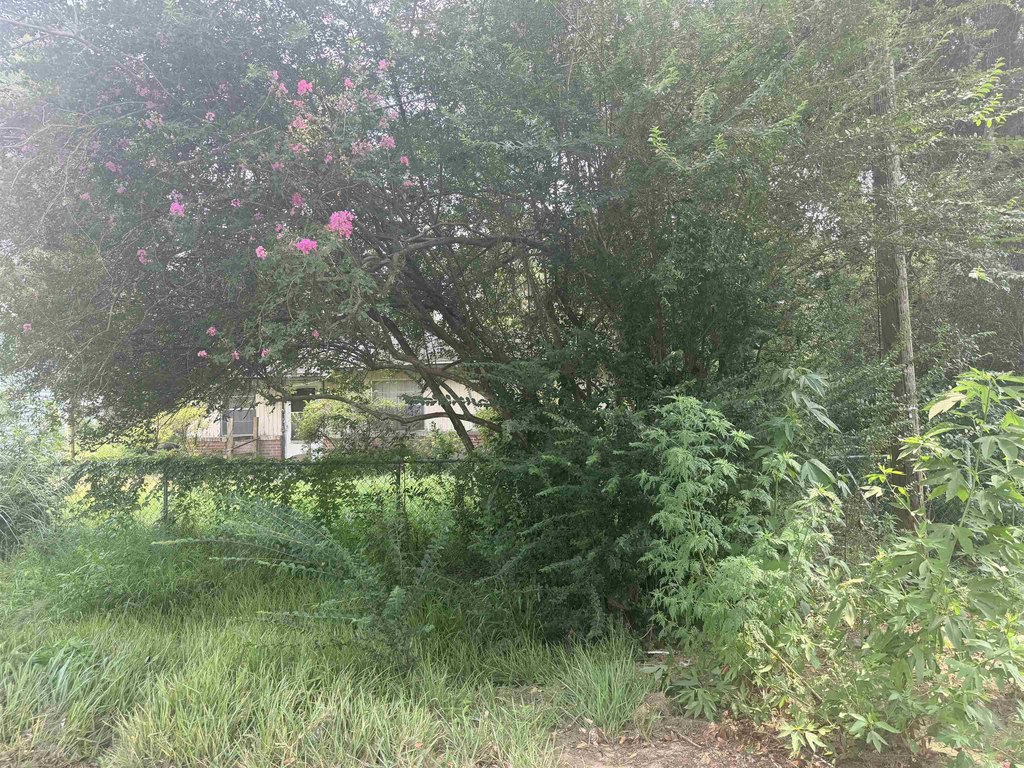 Picture 3
