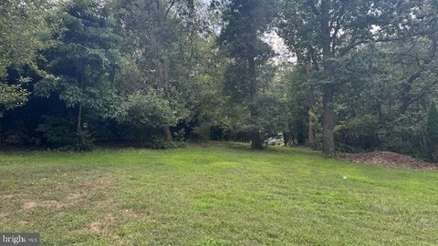 Partially Wooded Buildable Land Parcel