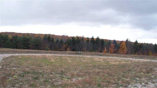 Residential Land in Alanson, MI