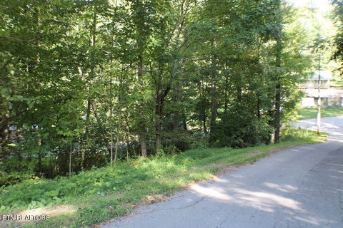Wooded Lot in Mountain City