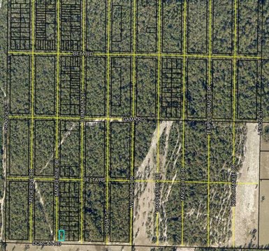 Crestview, FL Land Investment
