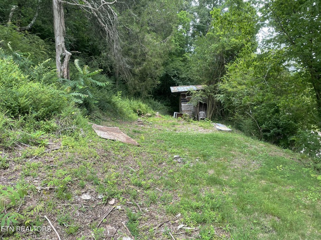 Picture 6