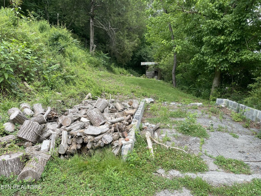 Picture 5