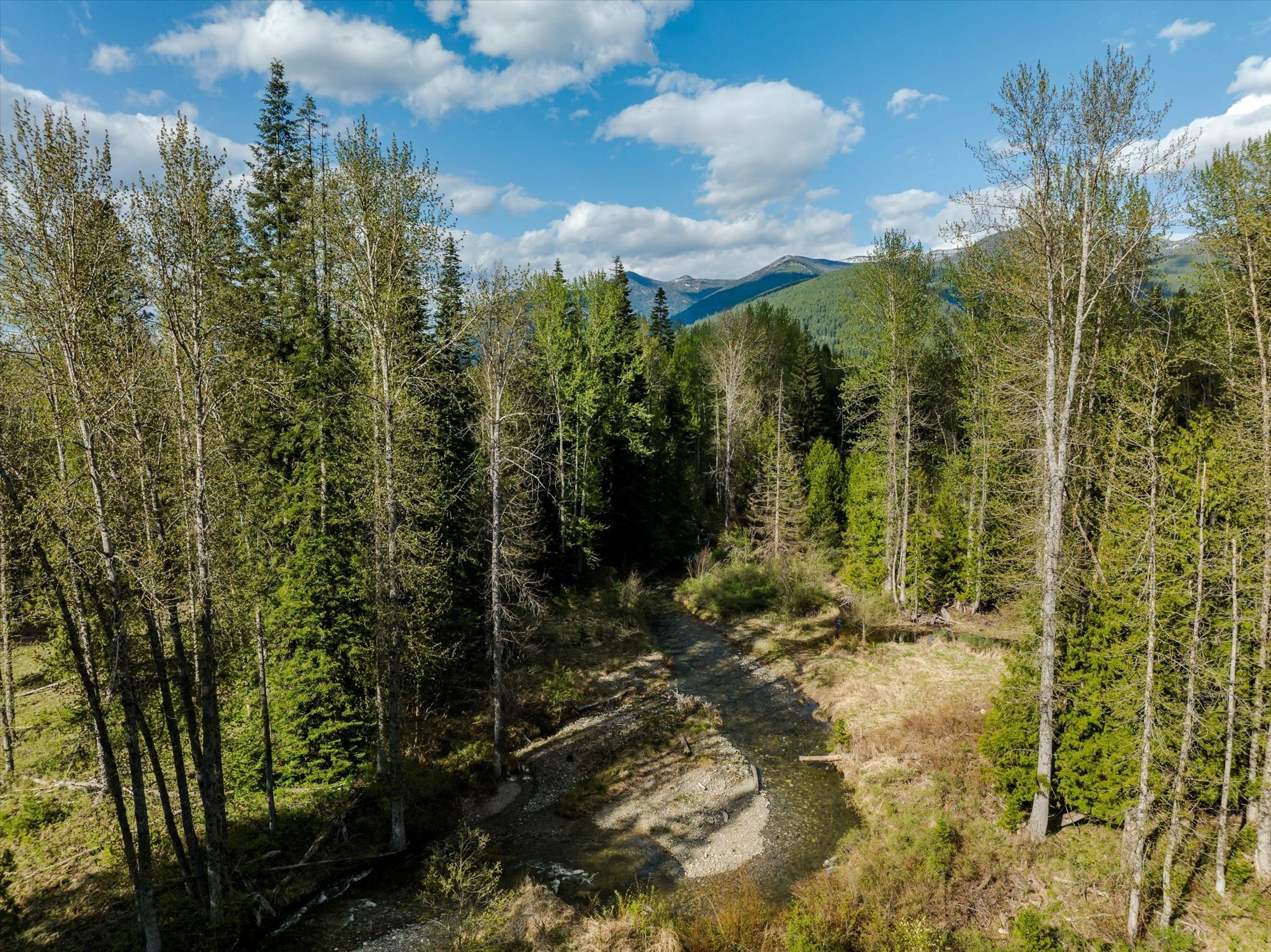 Montana Land with Creek Frontage