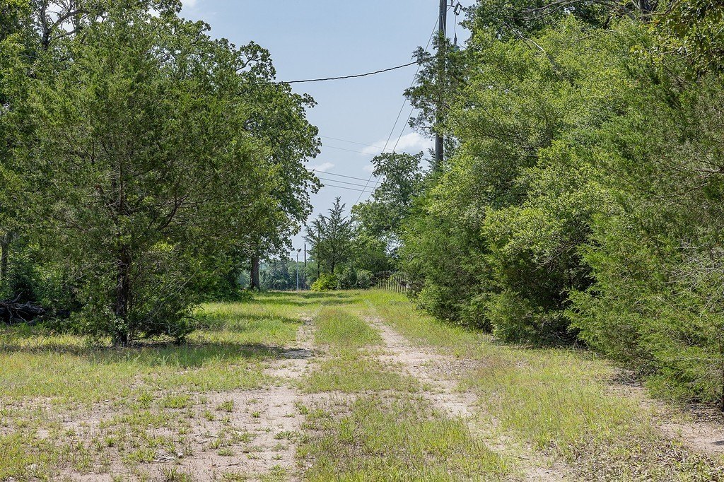 Picture 28