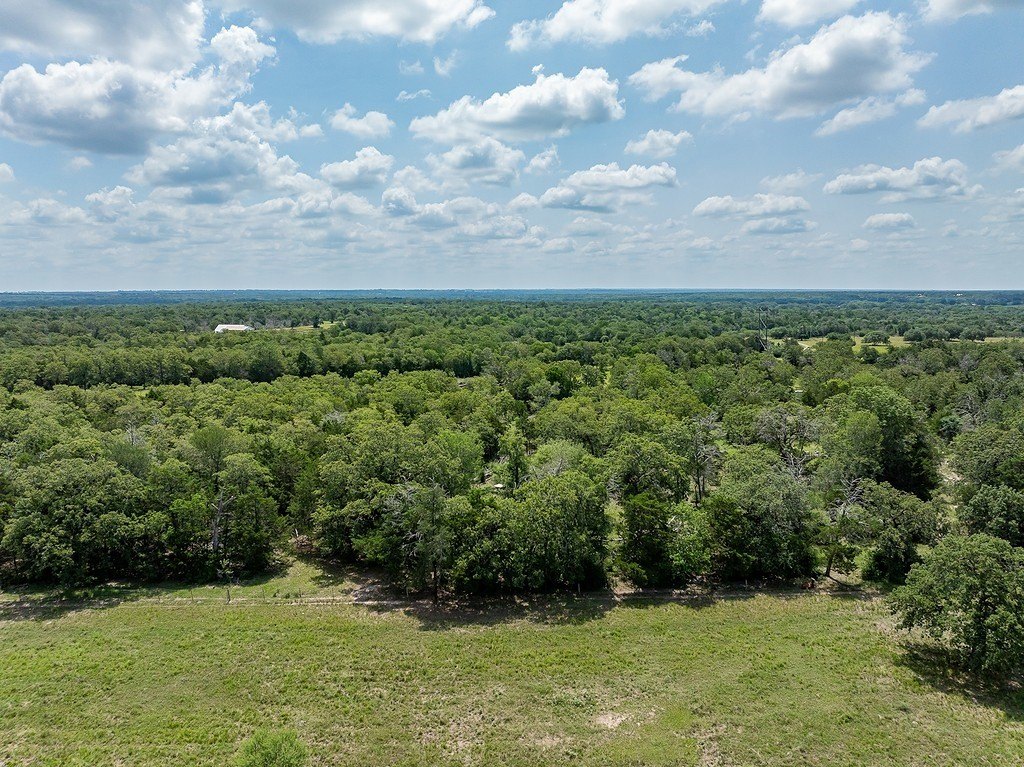 Picture 26