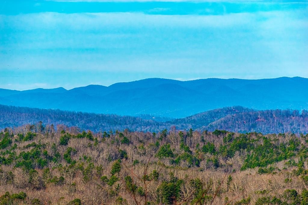 Scenic Mountain Homesite Opportunity