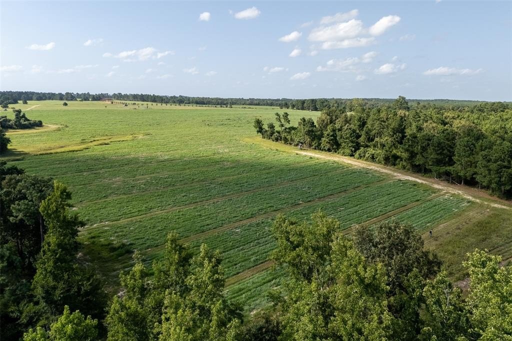 Grapeland, TX - Unimproved Land
