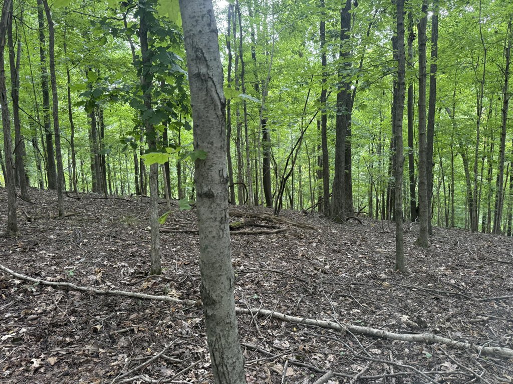 Picture 25