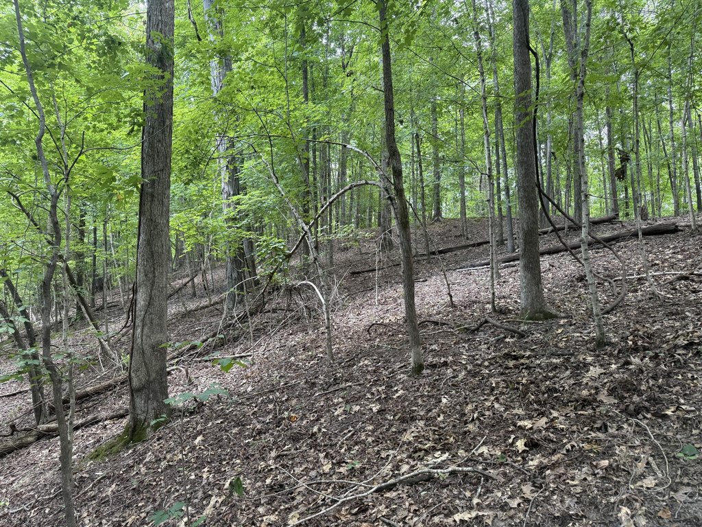 Picture 35