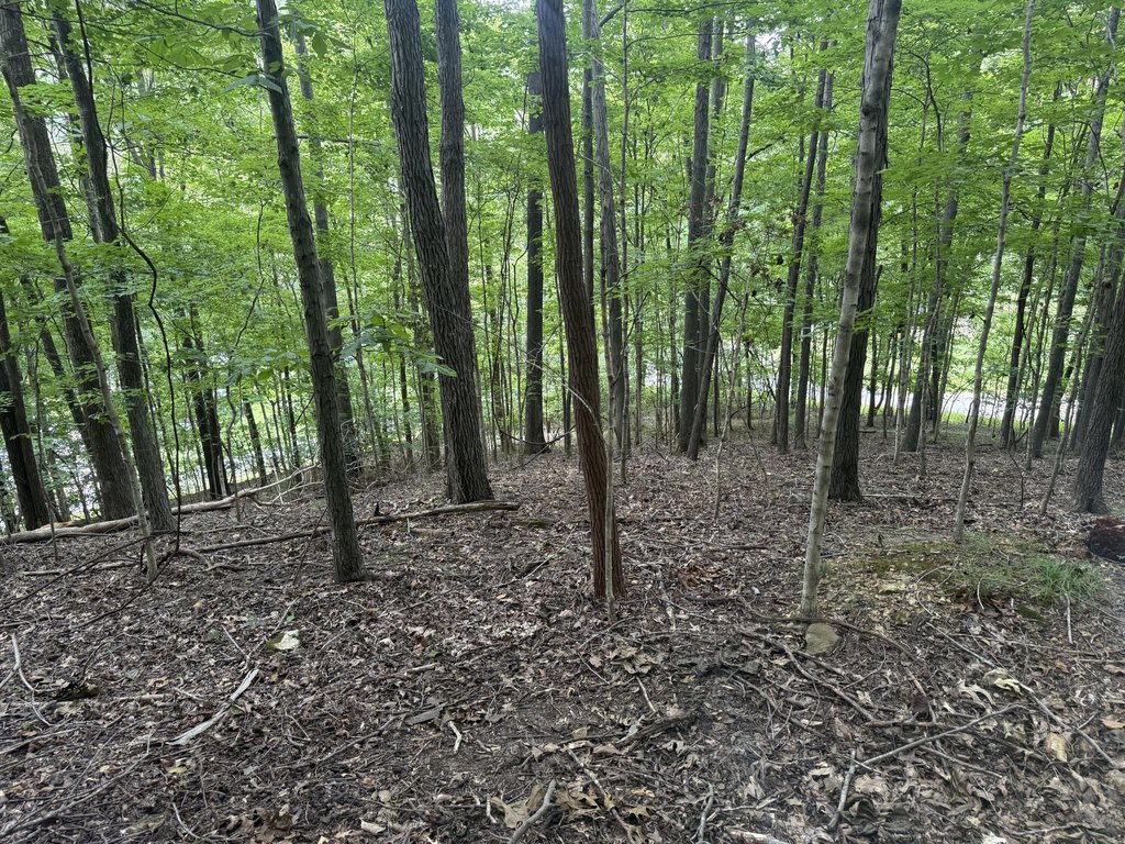Picture 42