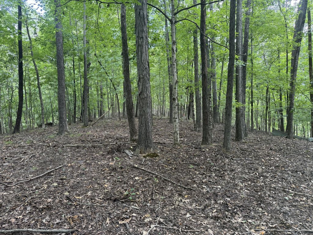 Picture 24