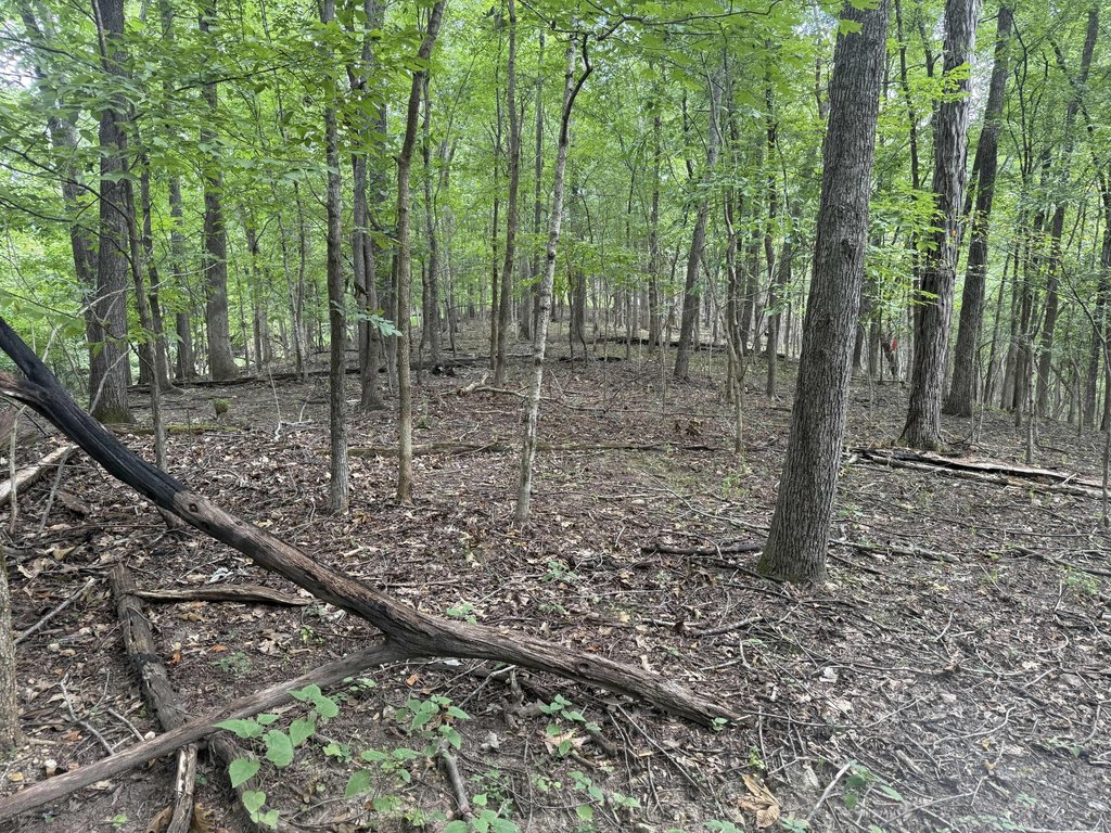 Picture 27