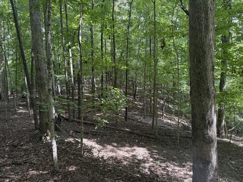 Land, Eddyville, KY