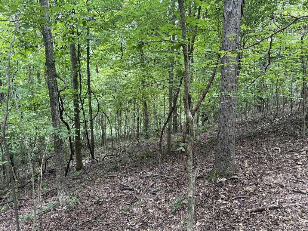 Picture 36
