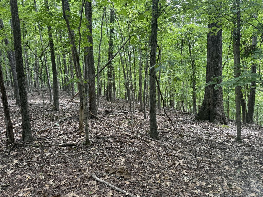 Picture 22