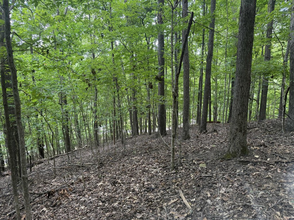 Picture 40
