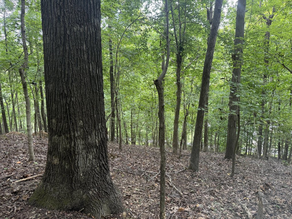 Picture 41