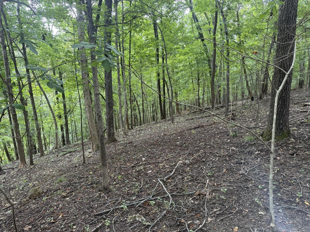 Picture 29