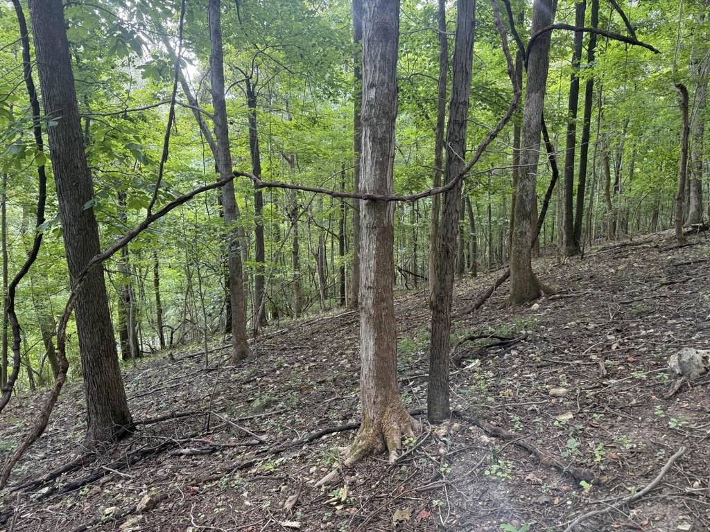 Picture 30