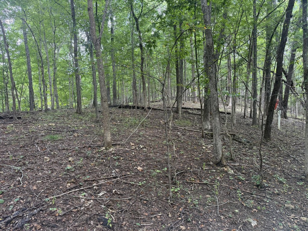 Picture 28