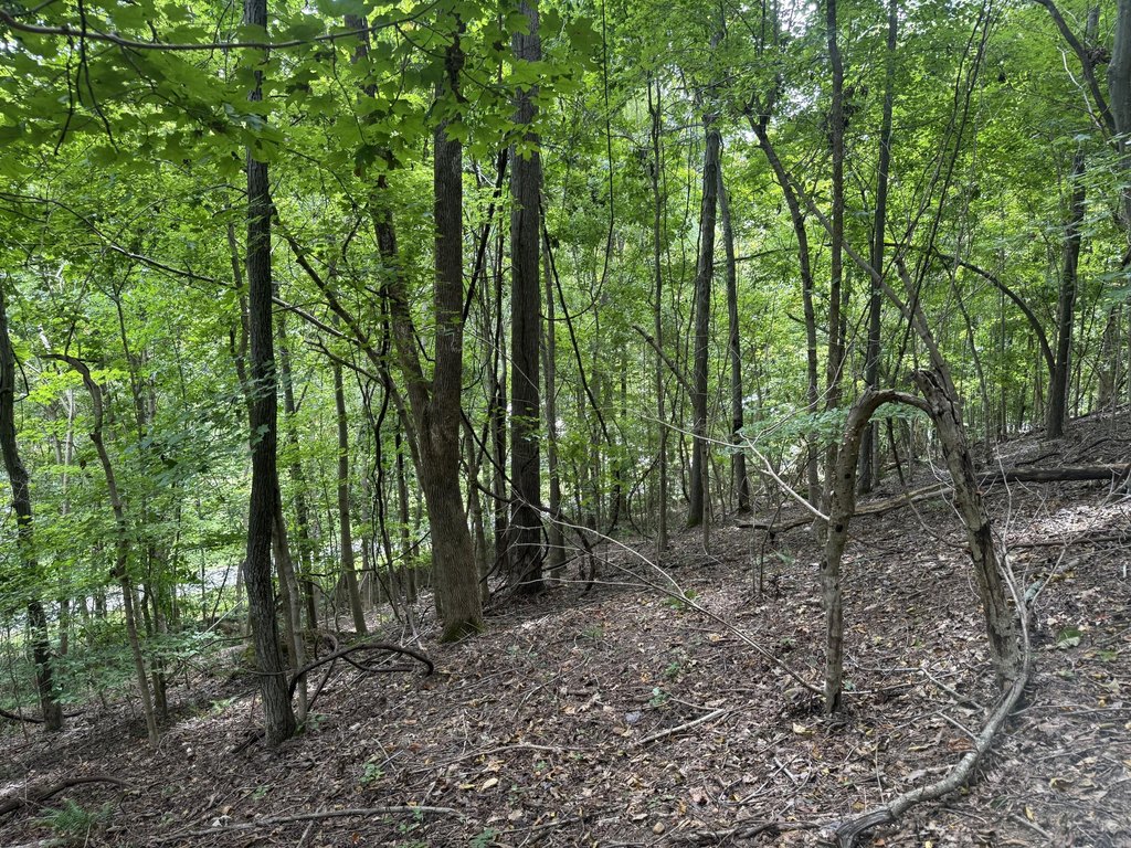 Picture 39