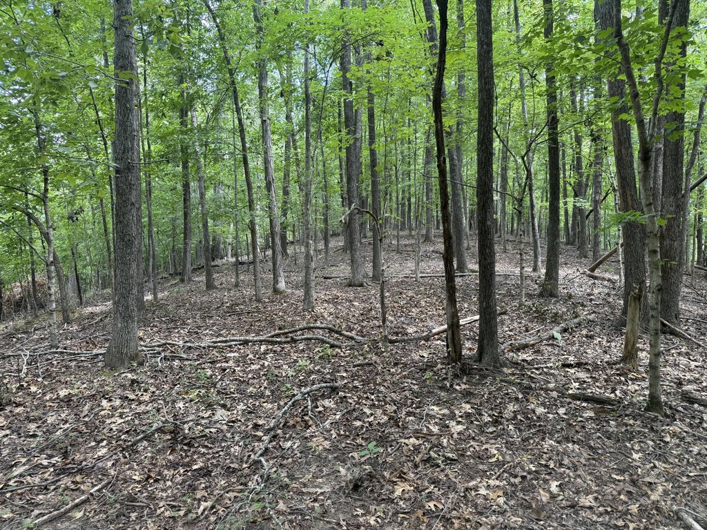 Picture 23