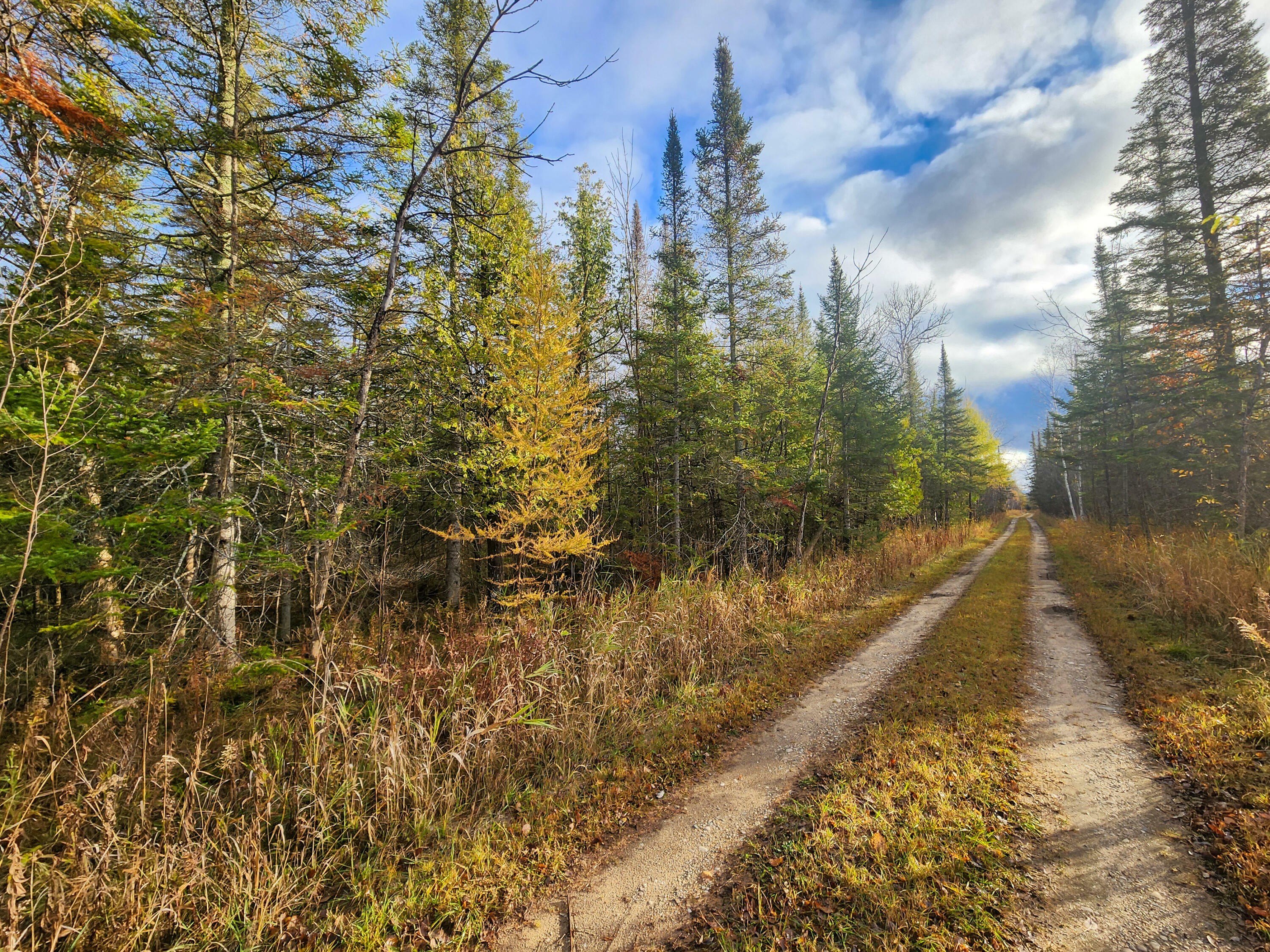 80 Acres Hunting Land Paradise