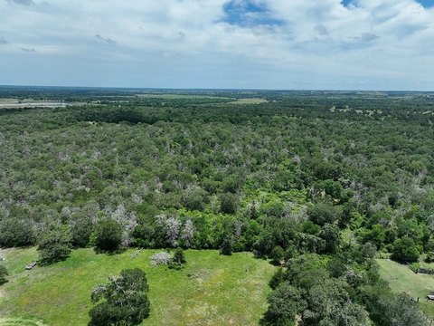 Wooded Recreational Land Tract