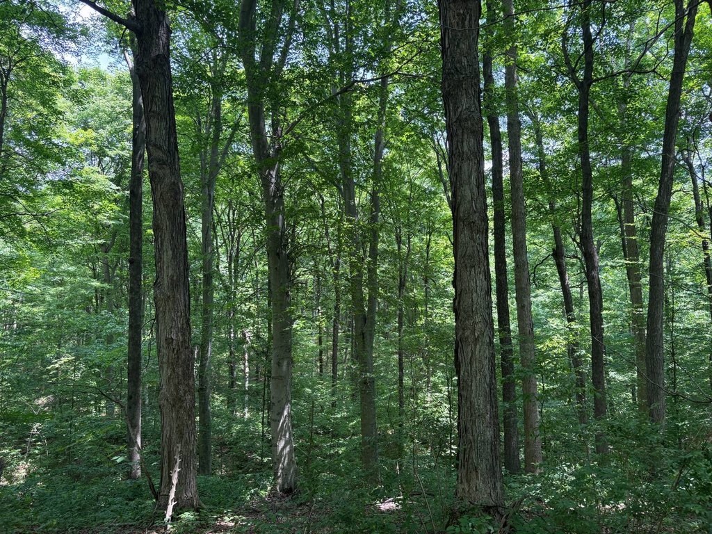 Picture 24