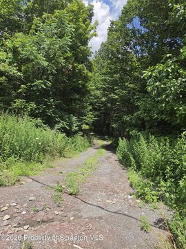 LAND - Covington Twp, PA