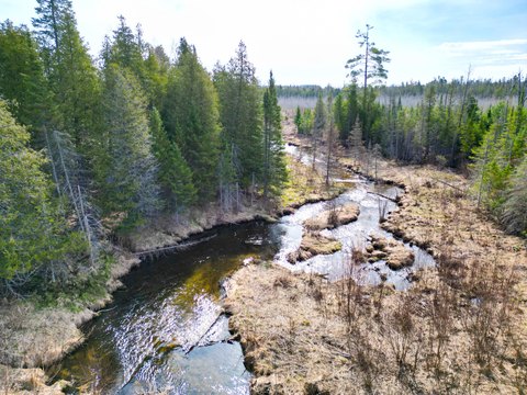 LAND - Gaylord, MI