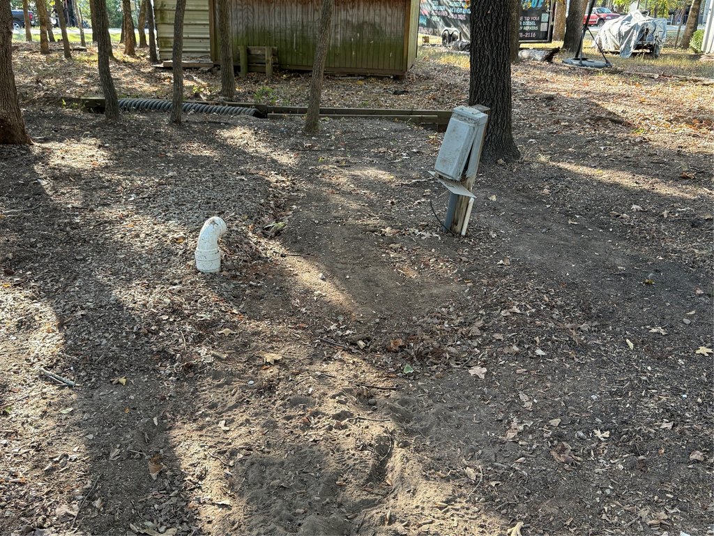 Picture 5