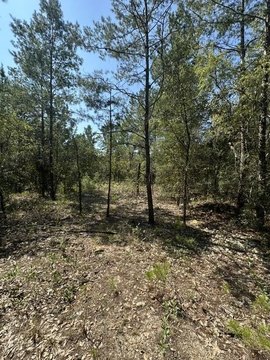 Land, DeFuniak Springs, FL