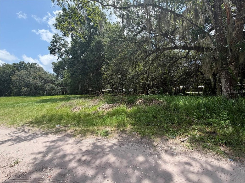 Picture 5