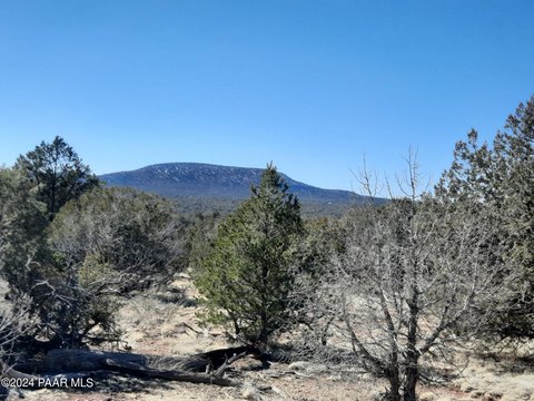 Land, Seligman, AZ