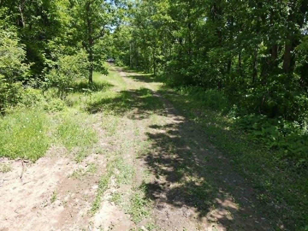 Picture 7