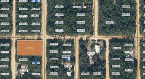 Land in Growing Interlachen Community