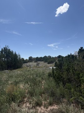 Land, Edgewood, NM