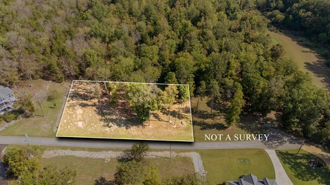 LAND - Bath Springs, TN